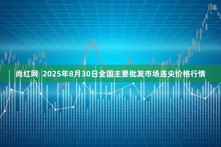 尚红网  2025年8月30日全国主要批发市场连尖价格行情