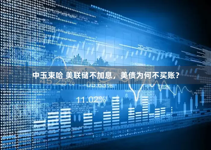 中玉束哈 美联储不加息，美债为何不买账？